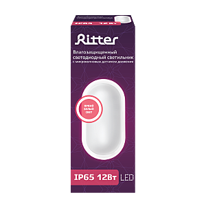 Настенный светильник Ritter 56029 6